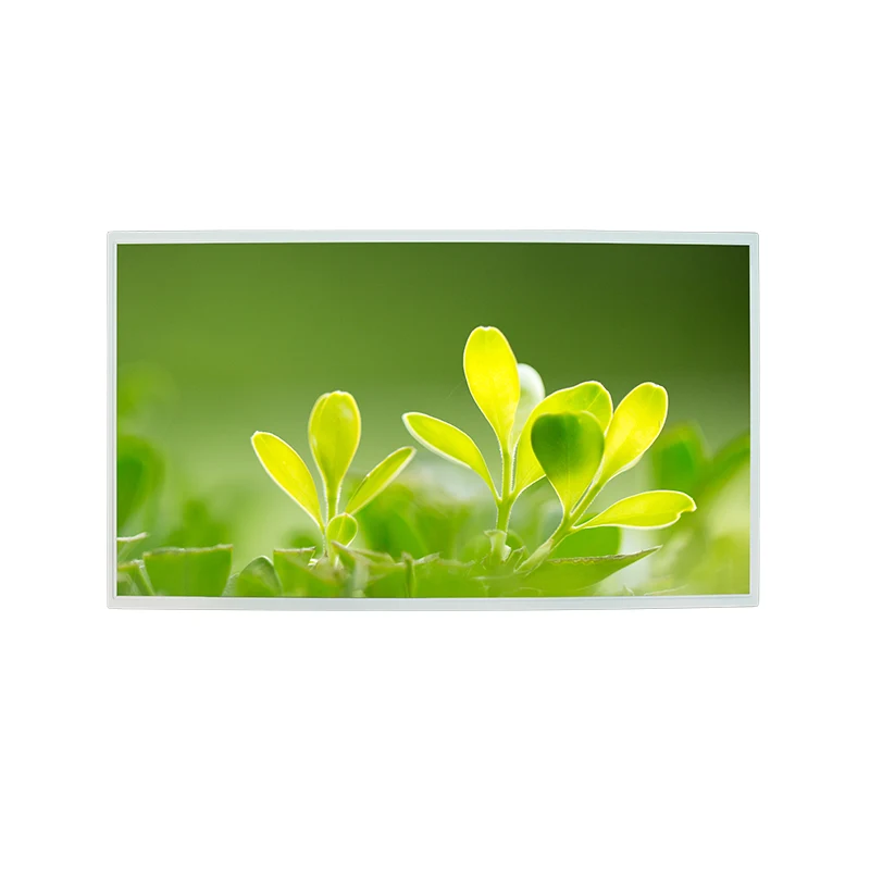 21,5 'Visoka svetlost FHD IPS Barva TFT LCD zaslonski modul