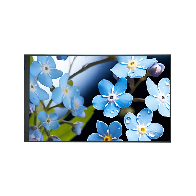 8.0 'Industrial IPS HD TFT LCD zaslonski modul